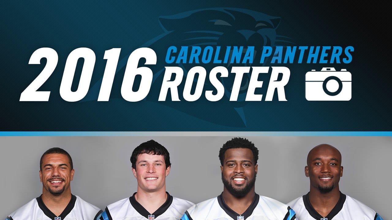 2016 Panthers Active Roster