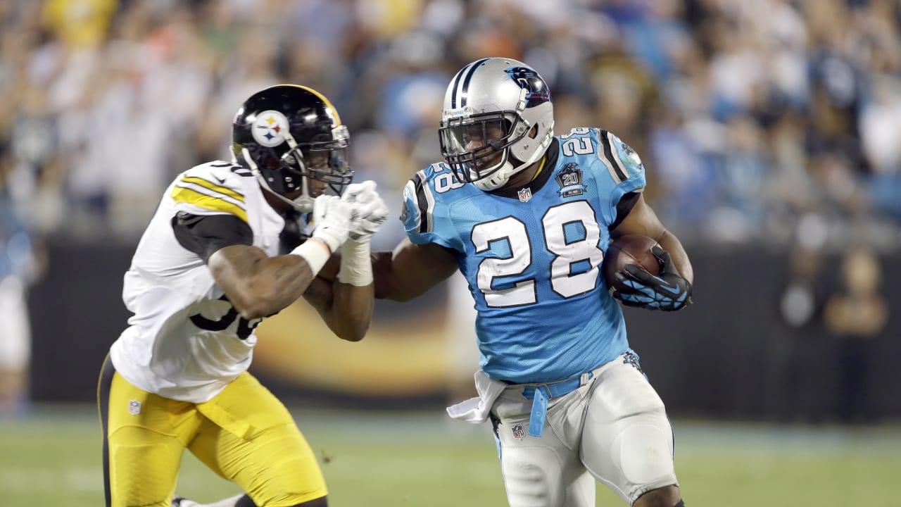 Panthers vs Steelers live score & H2H