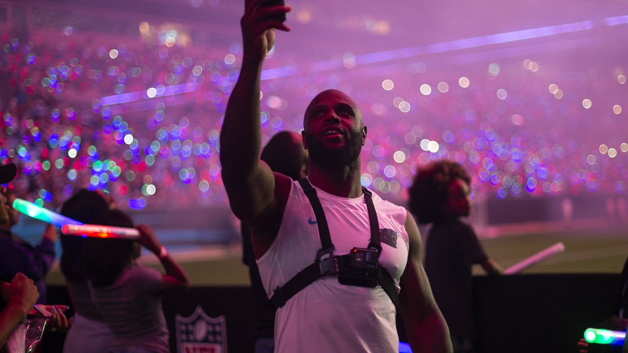 Panthers enjoy fireworks at Fan Fest