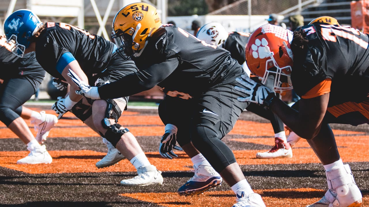 Former LSU TE Stephen Sullivan signs with Carolina Panthers