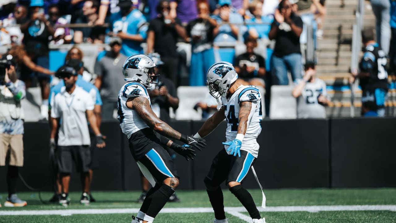 Panthers vs. Vikings, Game Action Gallery