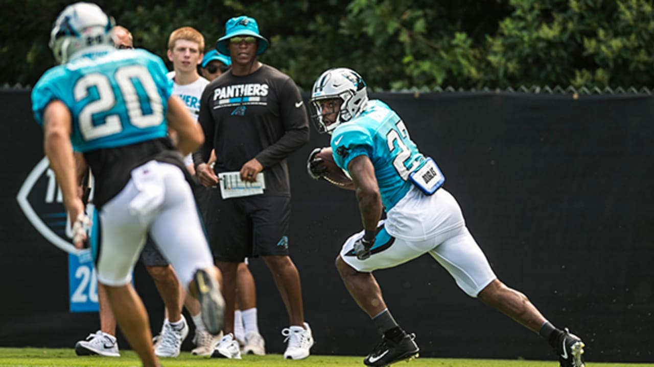 Panthers Training Camp Observations: Day 4