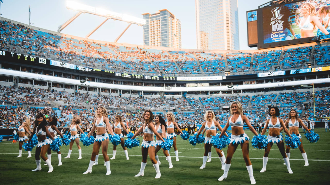 TopCats: Panthers vs. Steelers