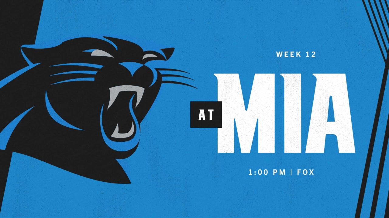 Miami Dolphins vs. Carolina Panthers: Scenes from NFL Week 12 game