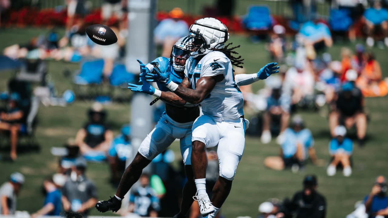 Carolina Panthers Support Breast Cancer Awareness at Sunday's Game for NFL's  Crucial Catch Initiative