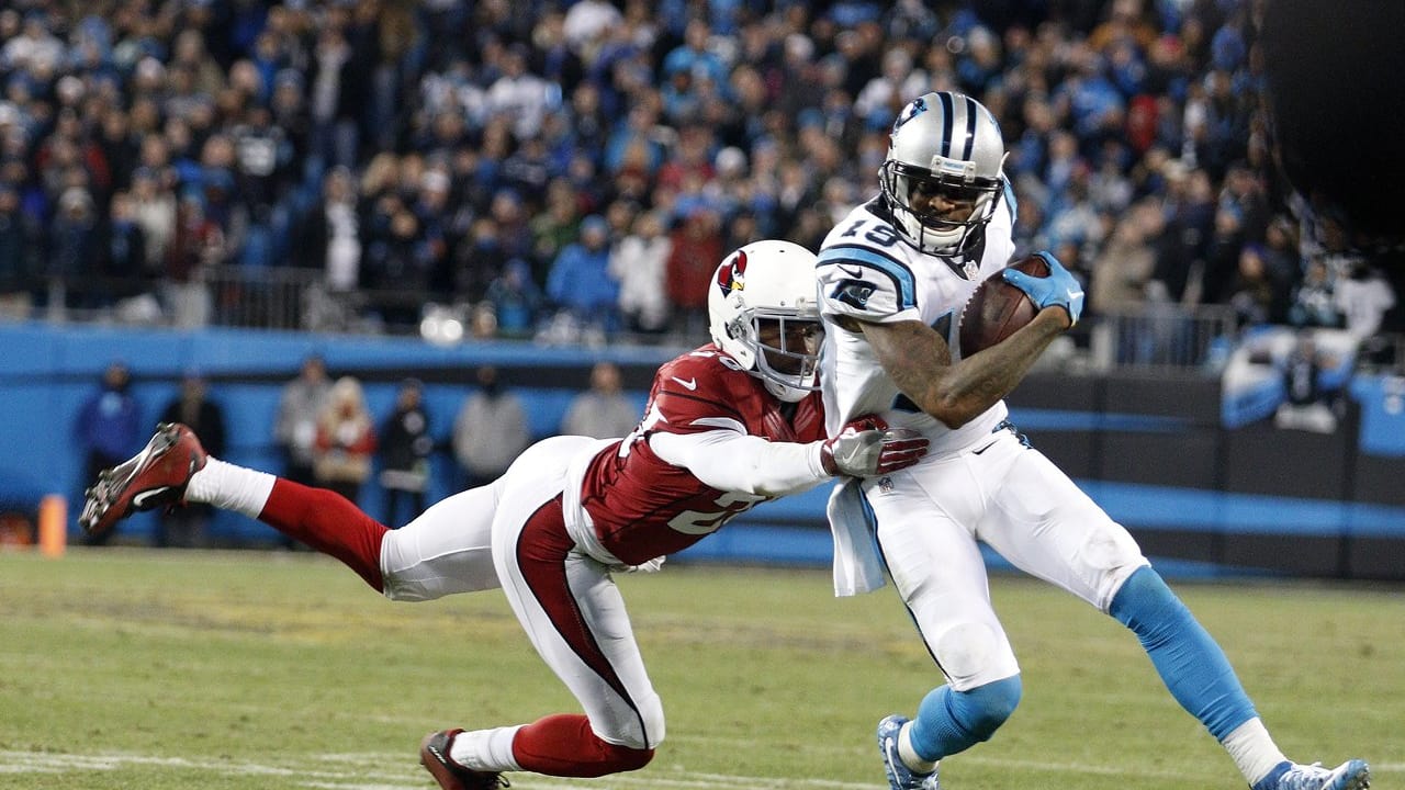 Photos: Panthers Vs. Cardinals