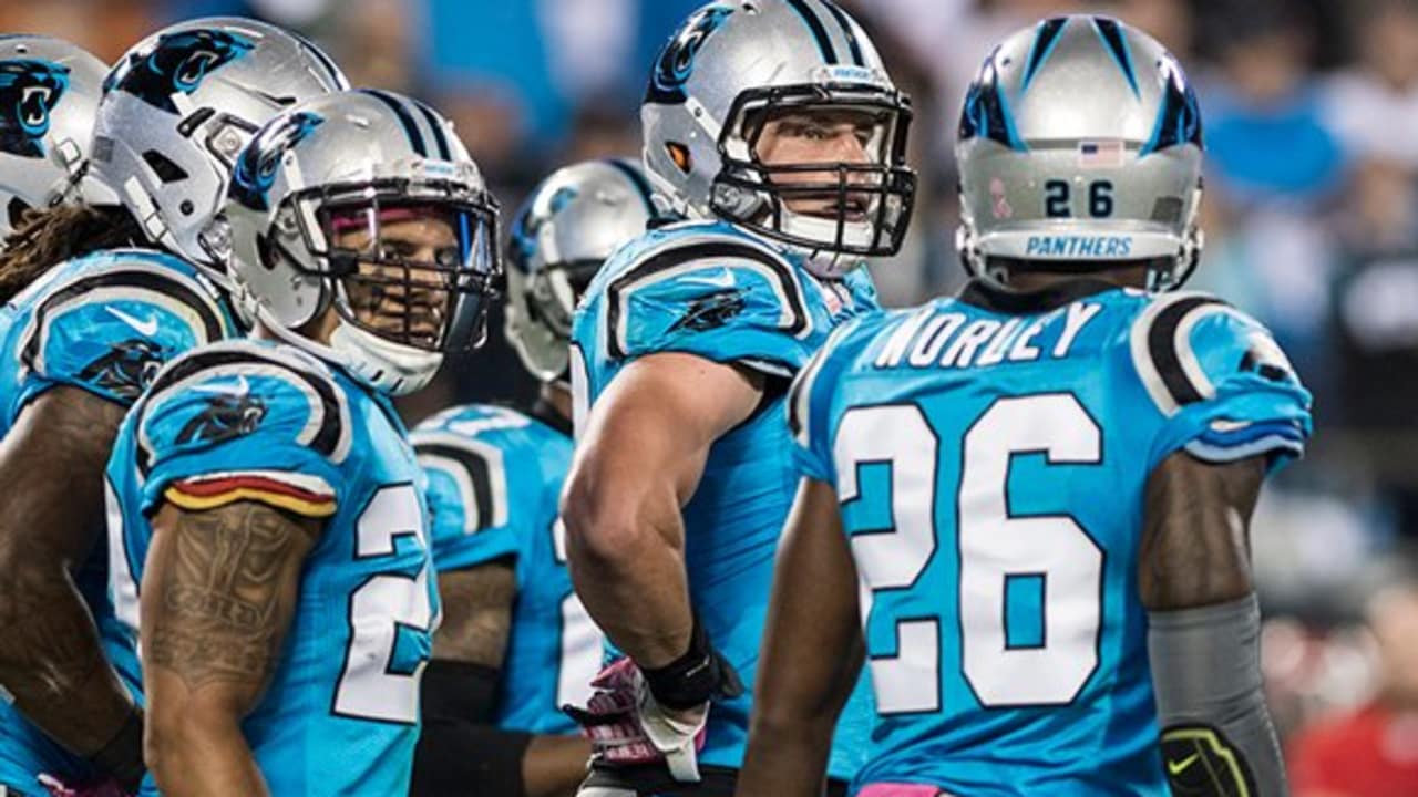 Examining Panthers' postdraft depth chart