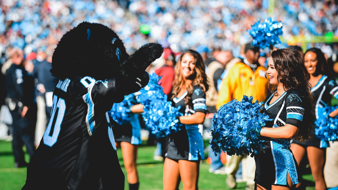 TopCats: Panthers Vs. Redskins