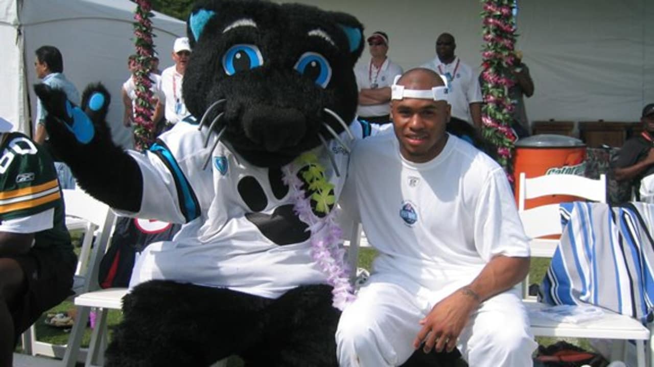 Sir Purr of the Carolina Panthers Mascot Costume from National Football  League