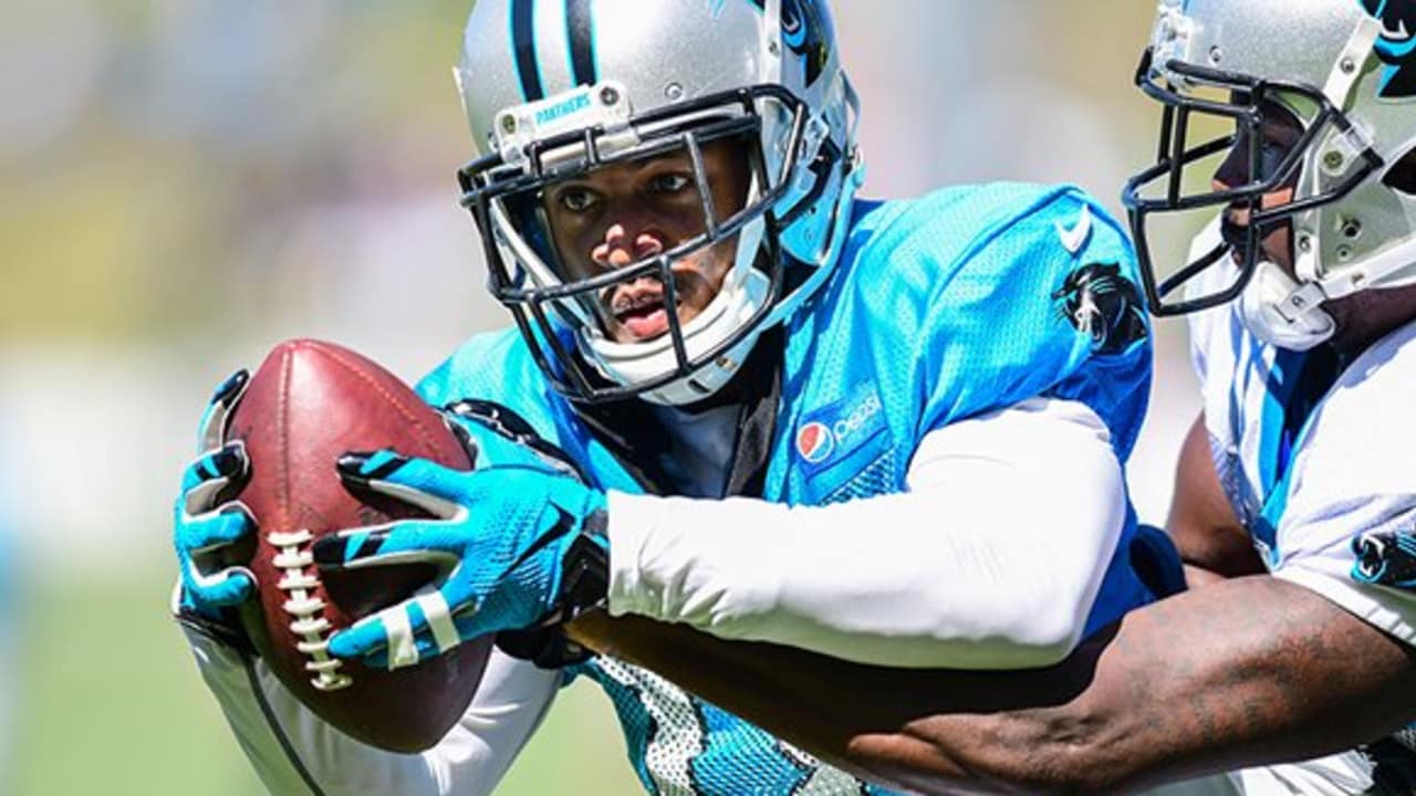 Camp Highlights: Day 13