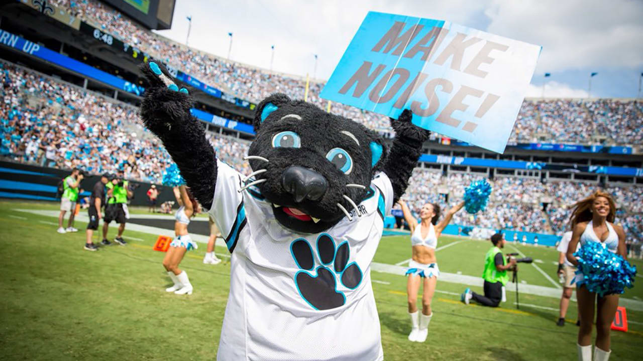 Carolina Panthers mascot Sir Purr signs autographs for an