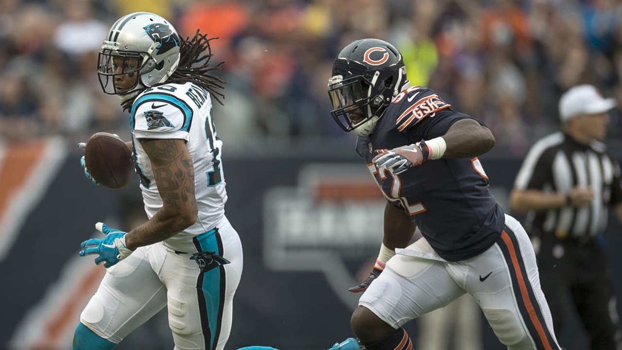 Photos: Best Of Panthers At Bears