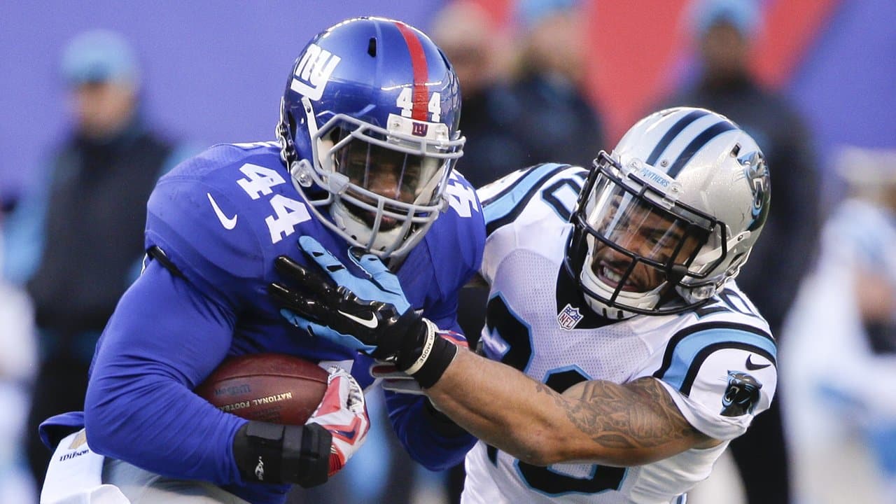 Photos: Panthers At Giants