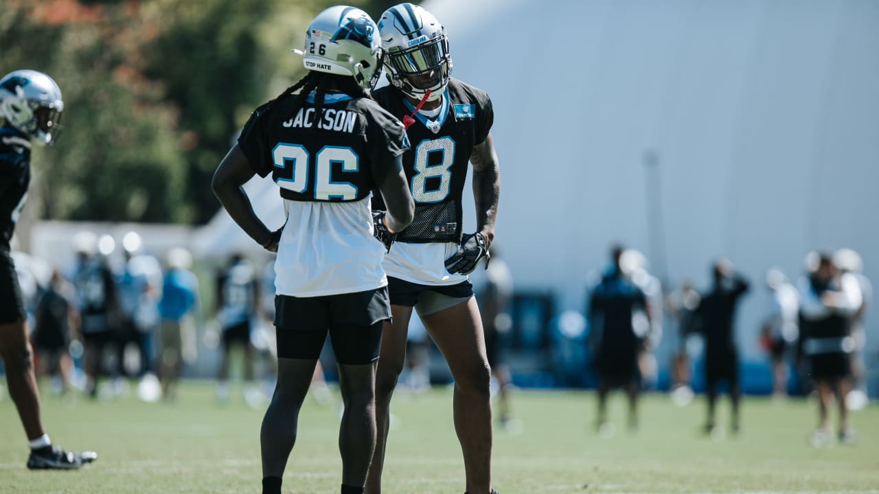 Panthers' top 8 players of 2021 (so far)