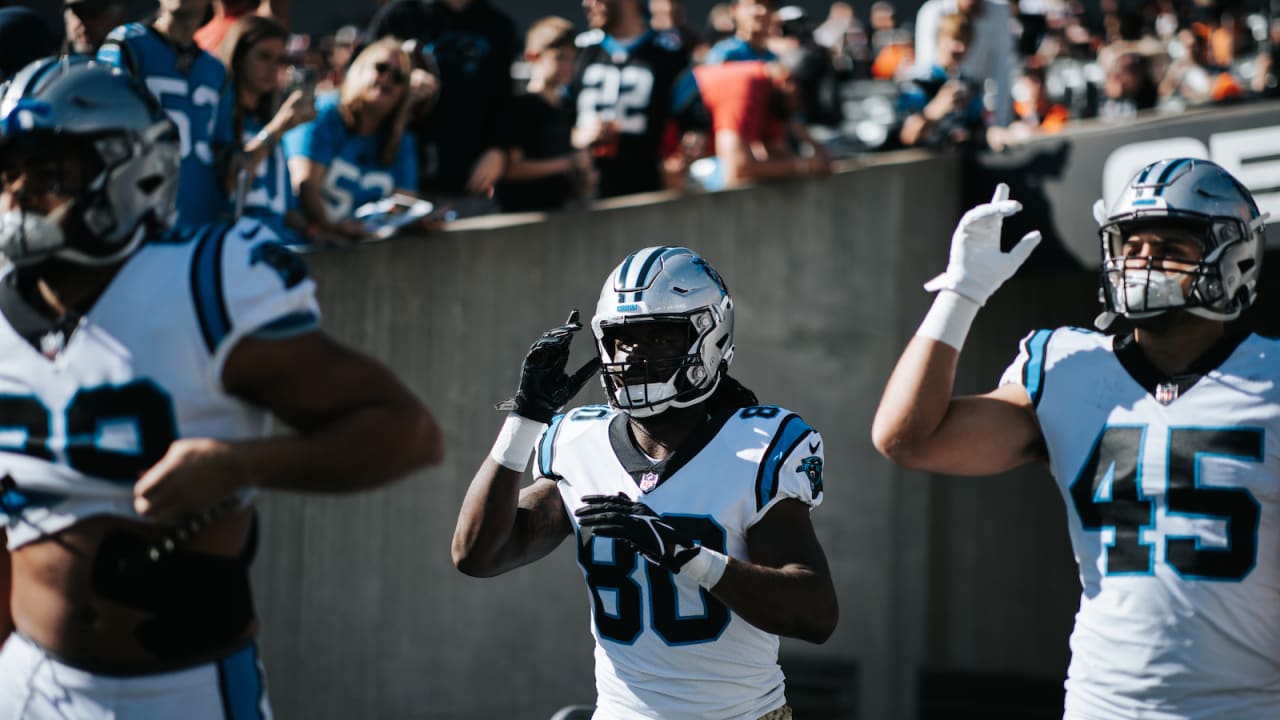 Carolina Panthers fullback Giovanni Ricci (45) lines up for the