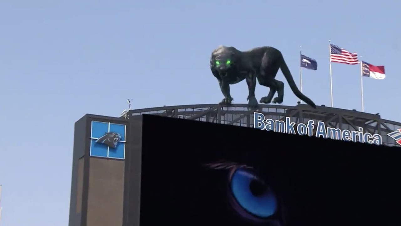 Return of the leaping cat: Panthers reveal highly anticipated