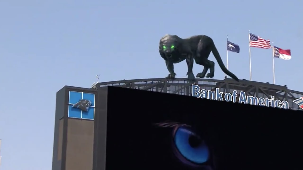 Black panther statue. Carolina panthers nfl football team mascot.