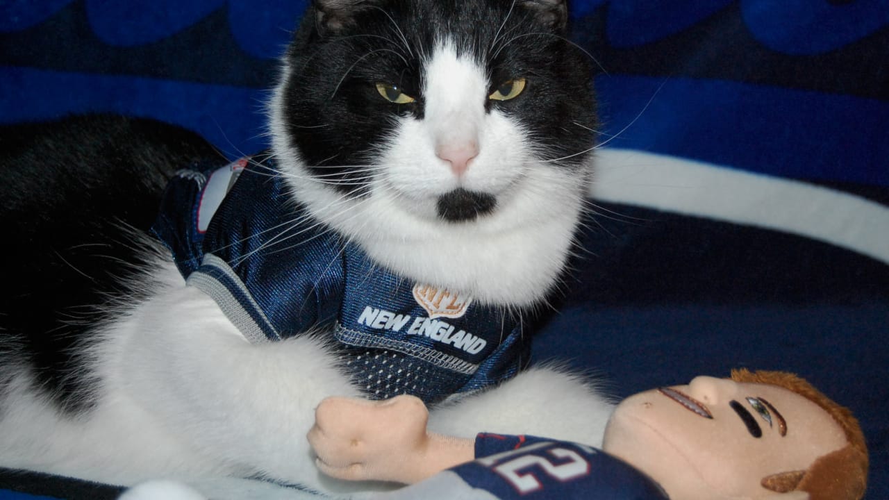 New England Patriots Cat Jersey