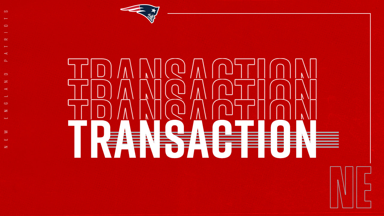 Patriots Sign DT Xavier Williams and TE Paul Quessenberry 