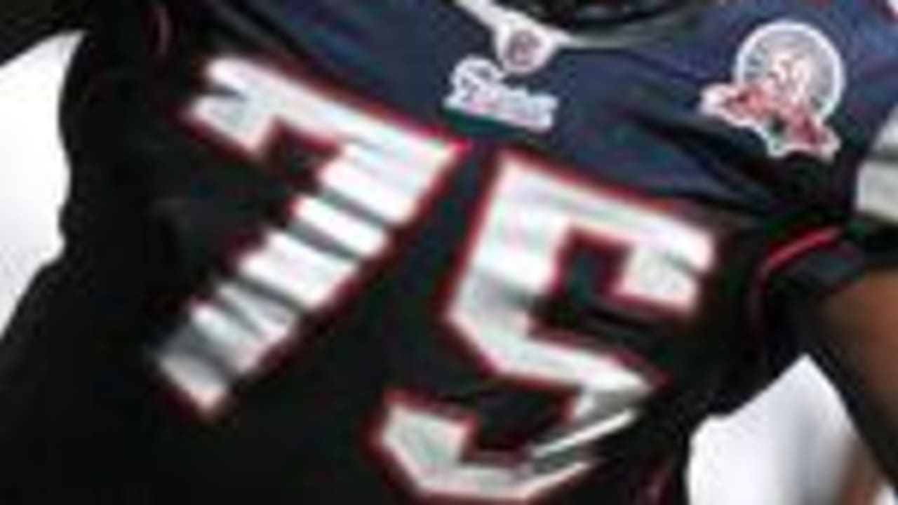 Vince Wilfork Agrees to Patriots Contract Extension