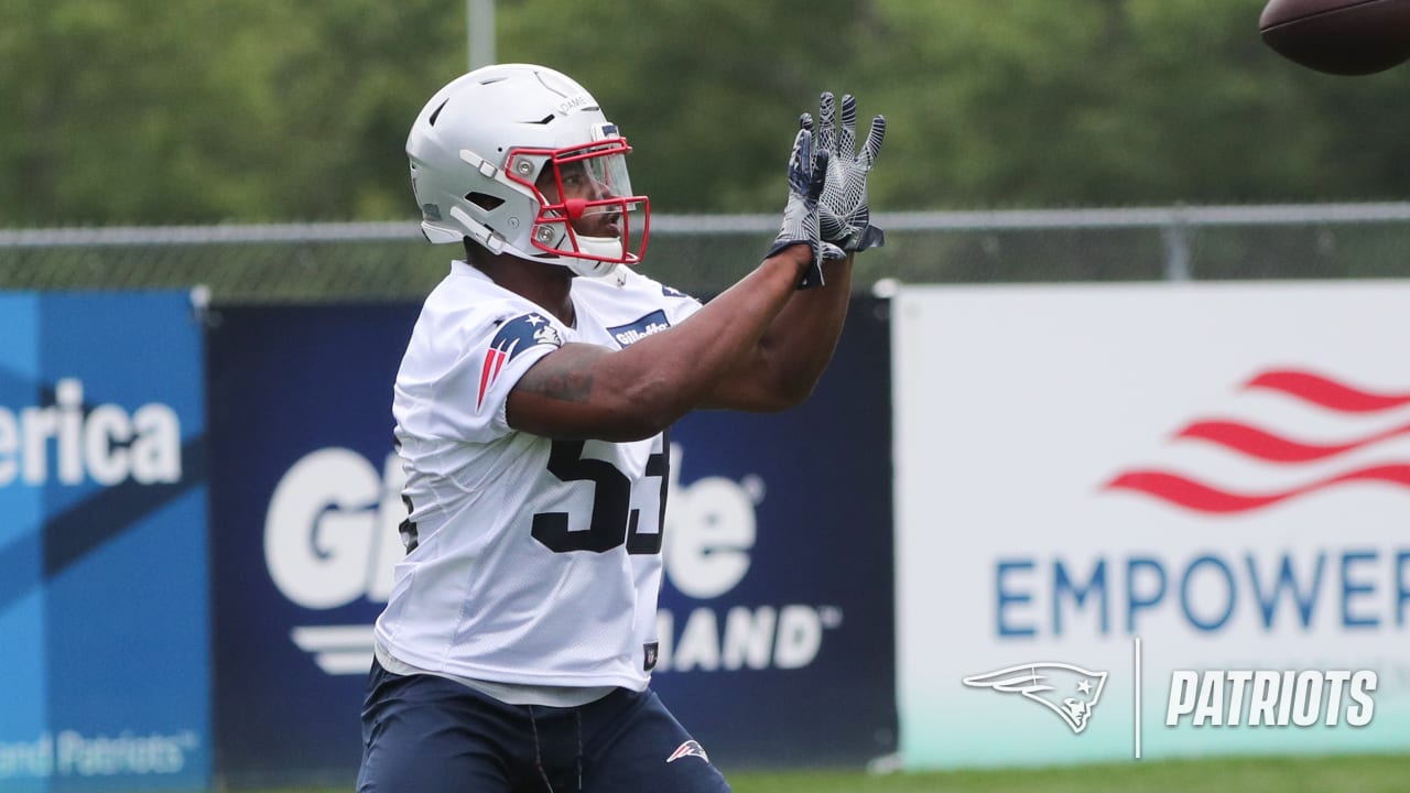 Image result for damien harris patriots minicamp