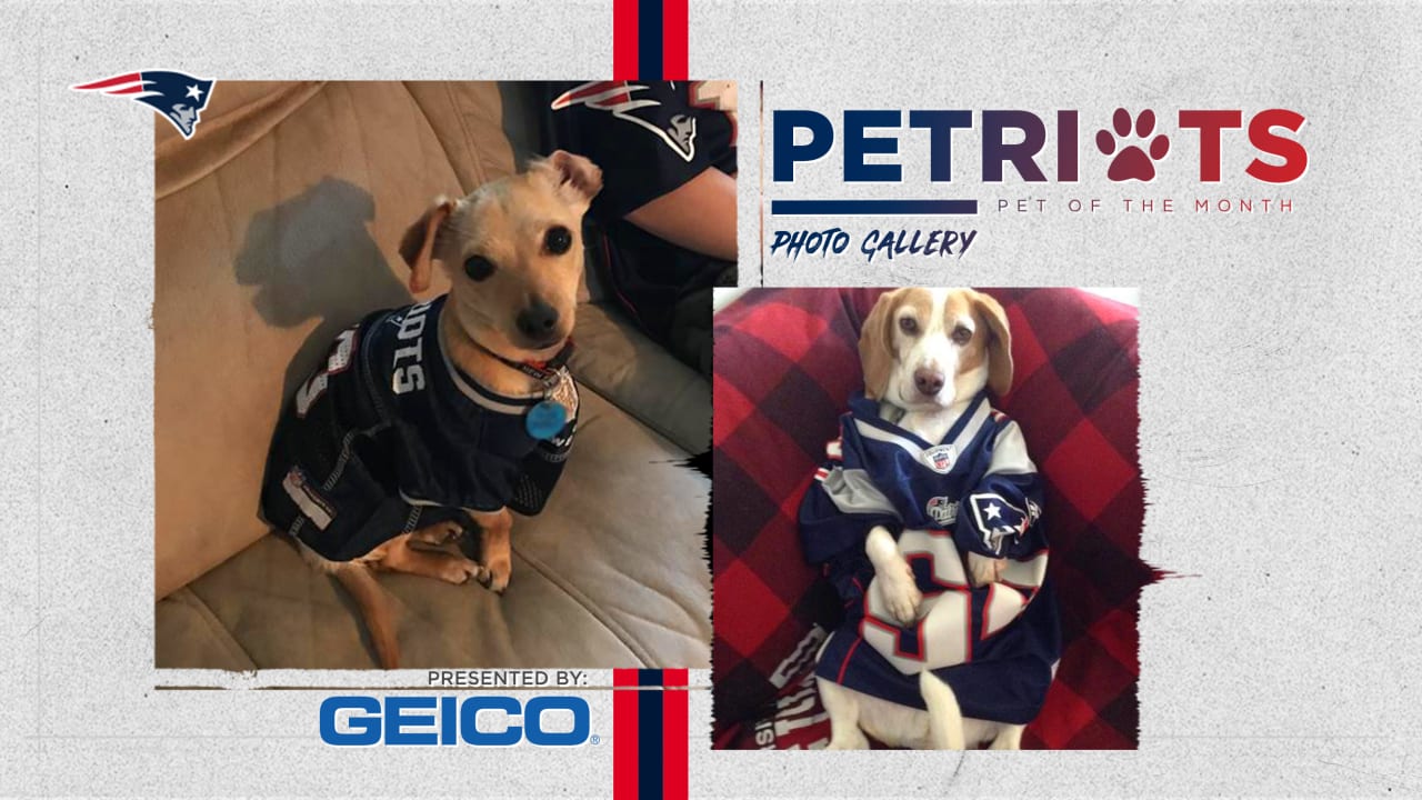 Official New England Patriots Dog Jerseys, Patriots Pet Leash