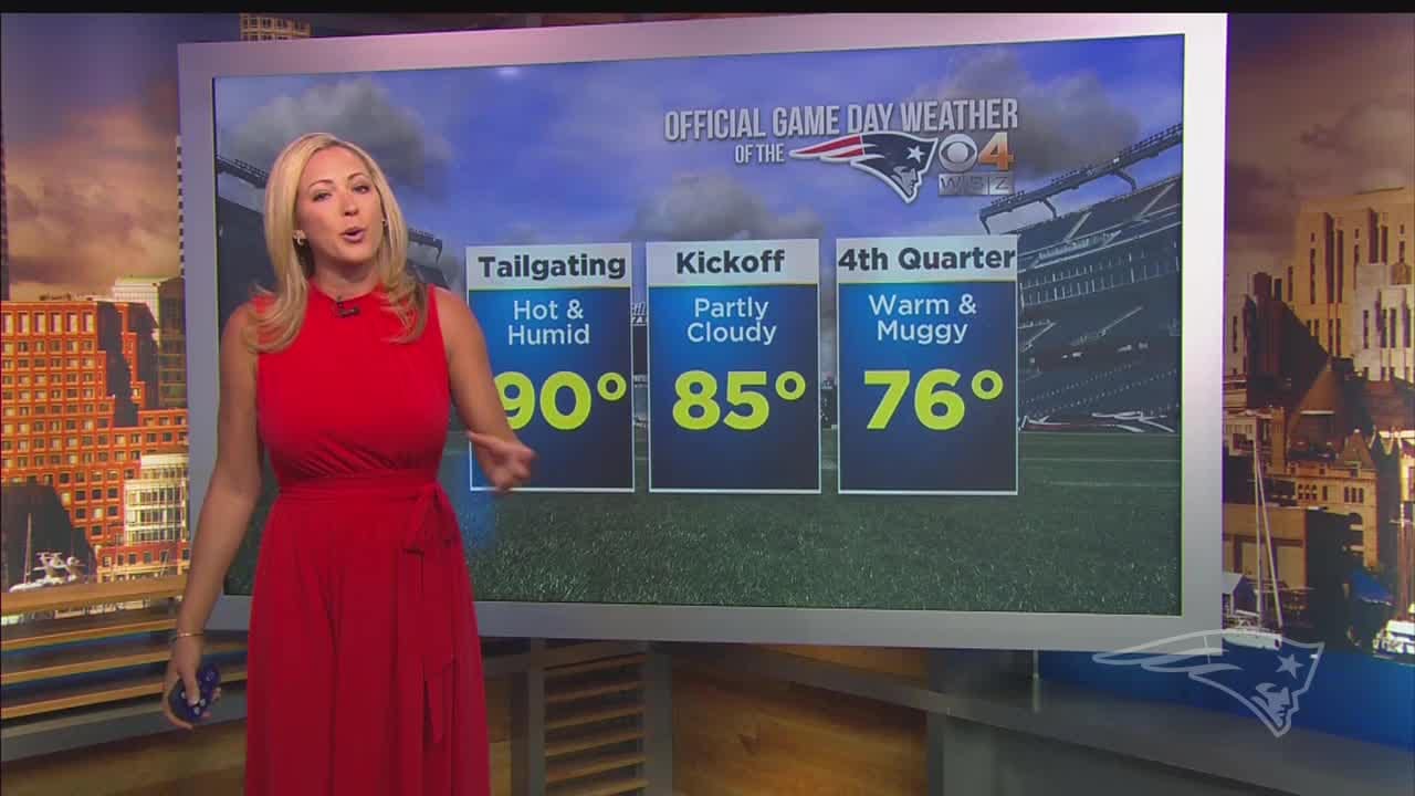 FOX Weather Kickoff: Week 10 NFL on FOX picks based on weather