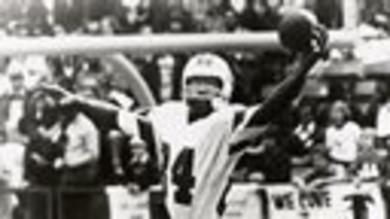 Darryl Stingley Stats, News and Video - WR