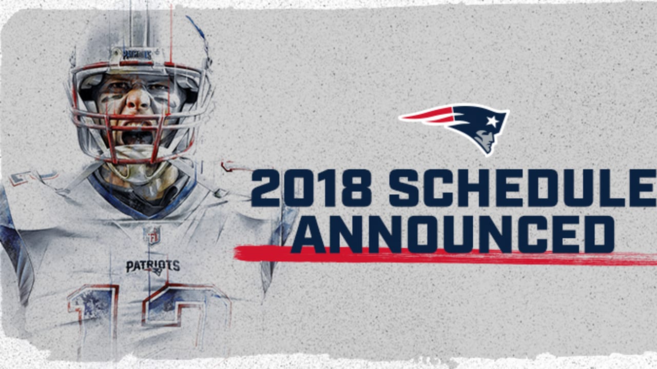 Turner Licensing New England Patriots 2018-19 17-Month Planner 19998890550 