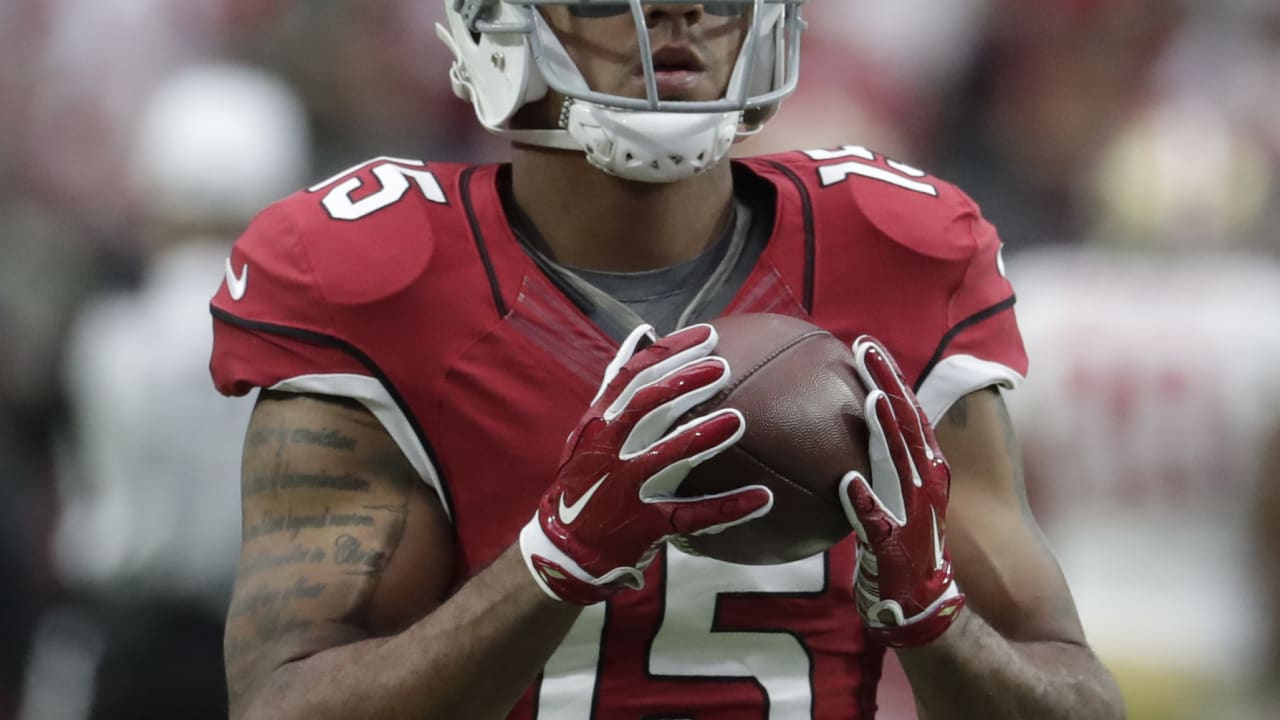 Ex-Cardinal Michael Floyd inactive for Patriots in Super Bowl LI