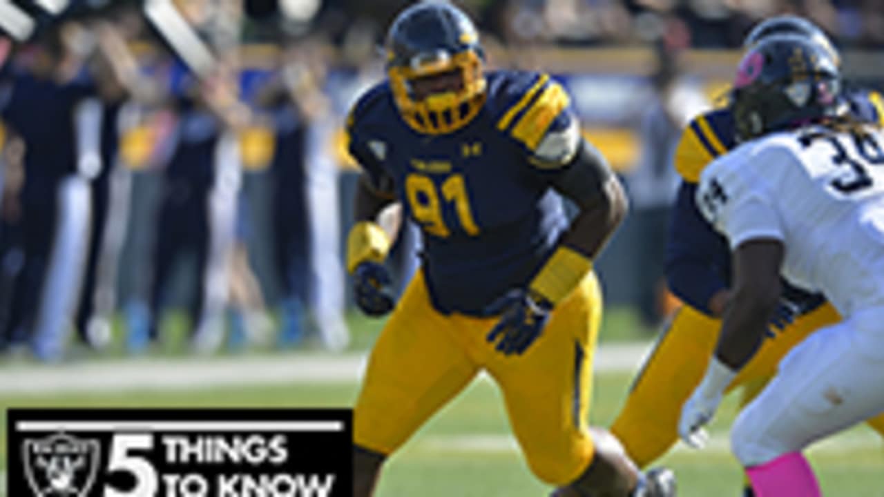 Green Bay Packers bring in Treyvon Hester to beef up depth on defensive line