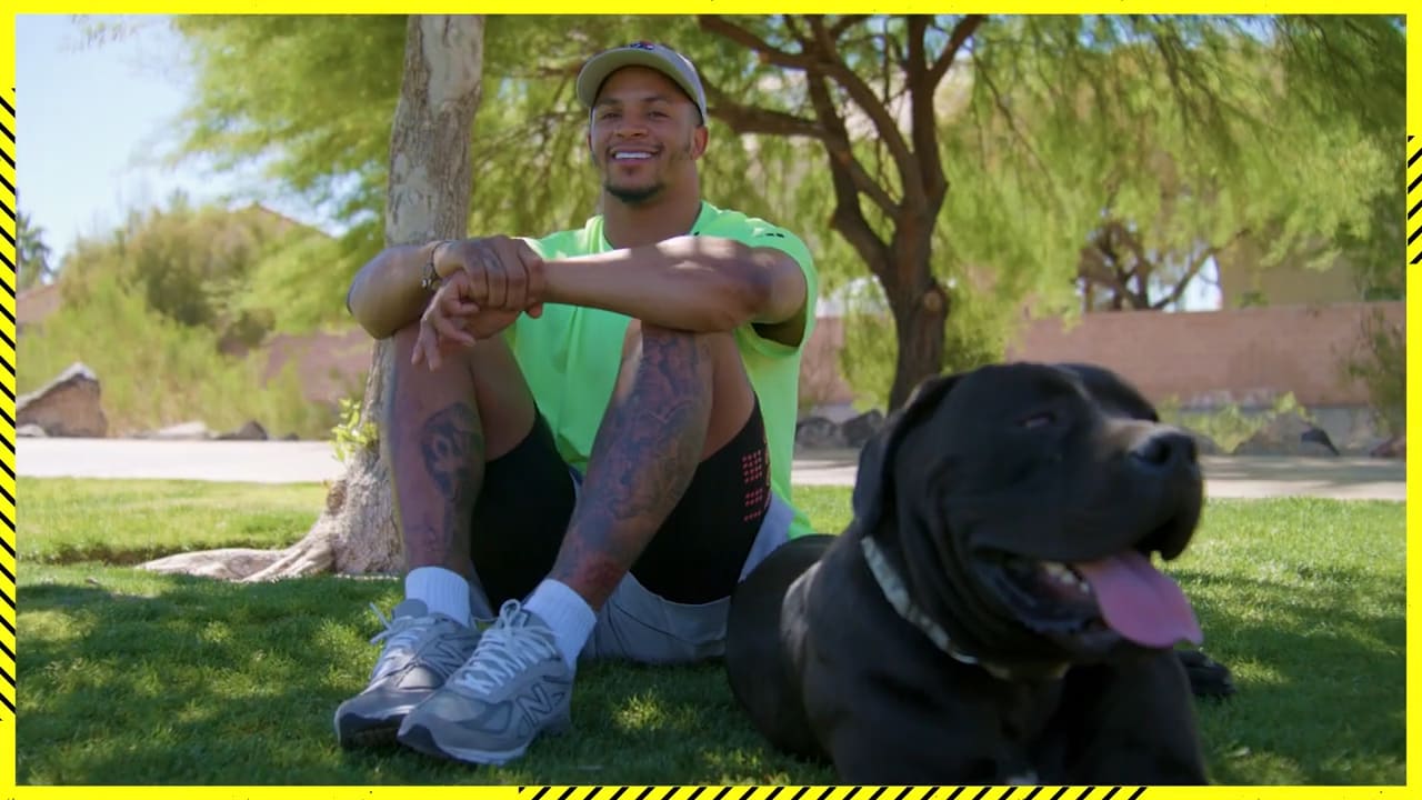 Raiders Johnathan Abram Shows Off His CRAZY Sneaker Collection & AWESOME  Dog! 