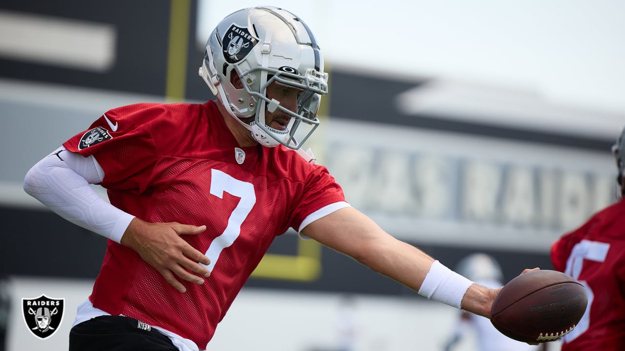 Report Says Brian Hoyer Will Start on Sunday for the Raiders if