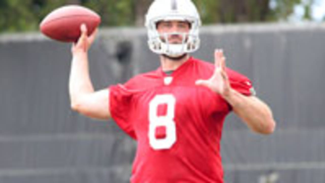 Fast Facts About Matt Schaub