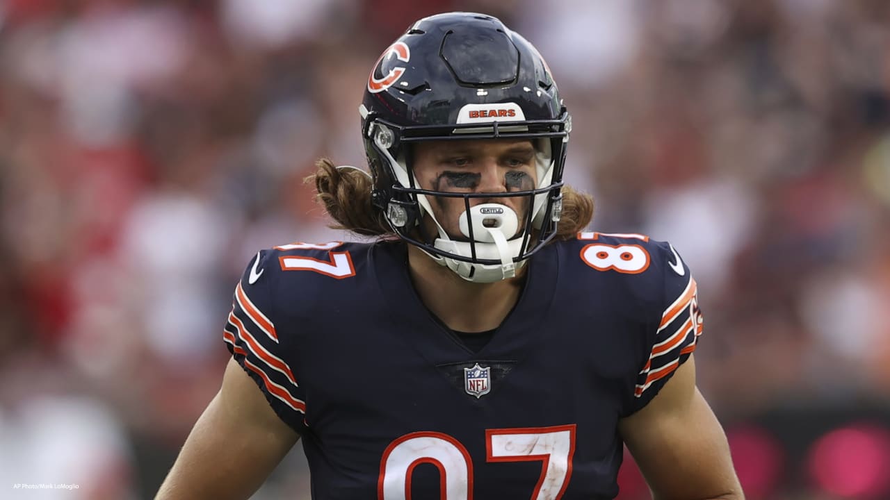 NFL Chicago Bears Fan Heads Helmet for Tailgate, Game, Party