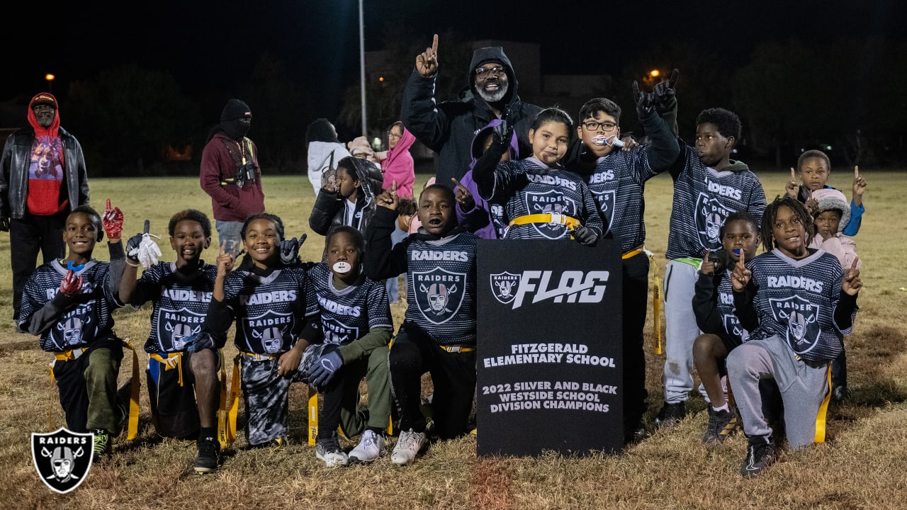 Minnesota Vikings Football Team Division Champions 2022 Flag