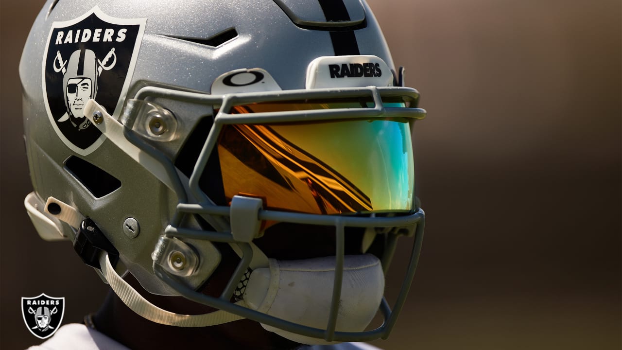 27 Raider concept helmets and uniforms ideas  raiders, football helmets, raiders  football