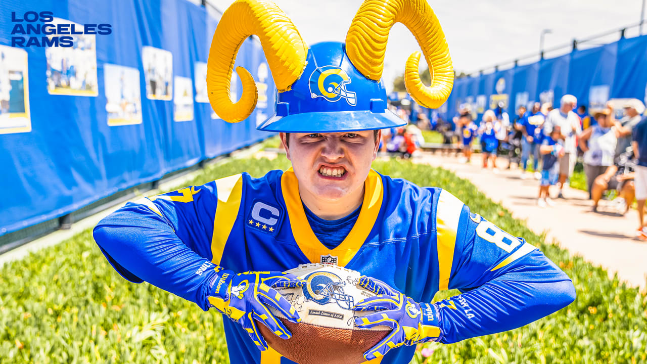 Los angeles rams hat cheap with horns