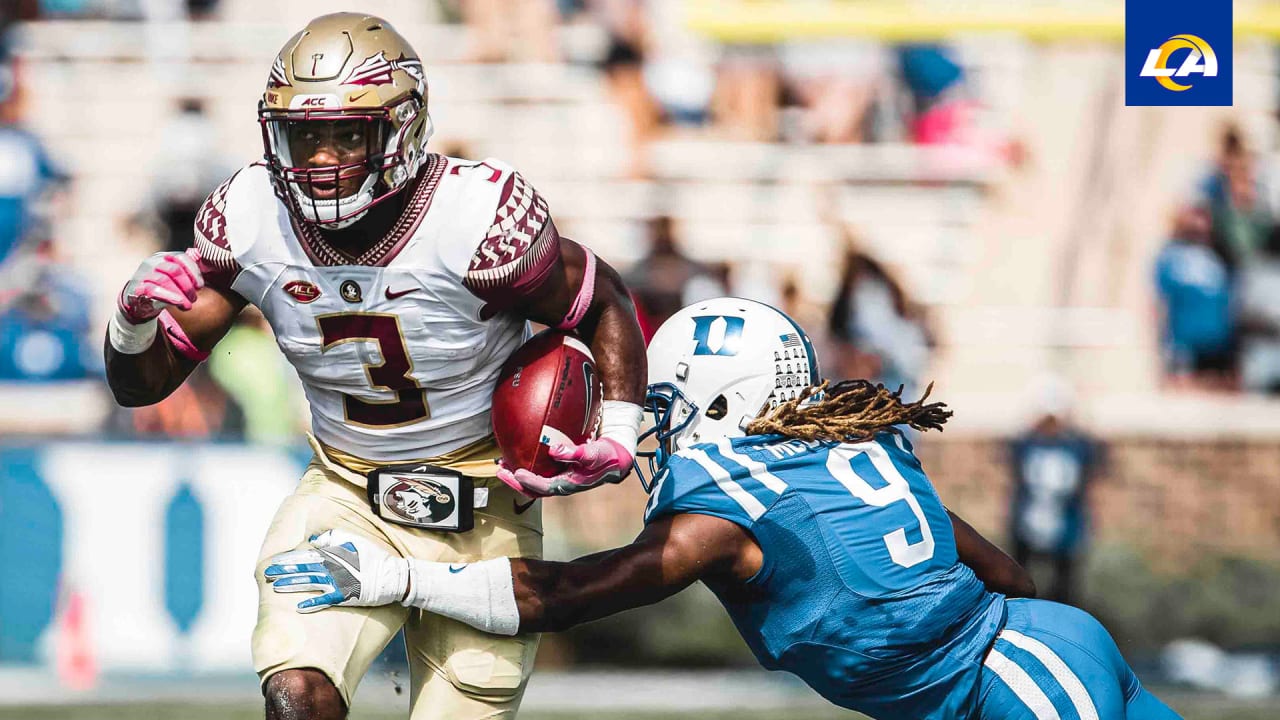 2020 NFL Draft prospect profile: Cam Akers, RB, Florida State - Big Blue  View