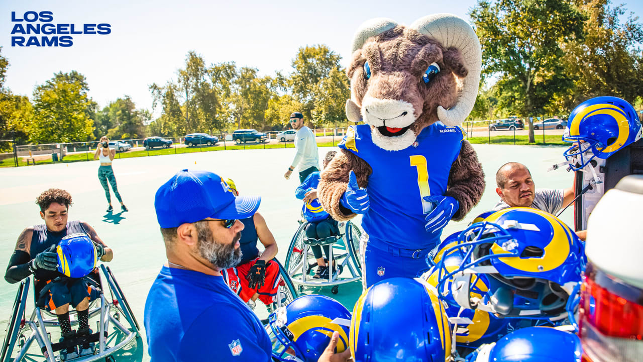 la rams mascot account｜TikTok Search