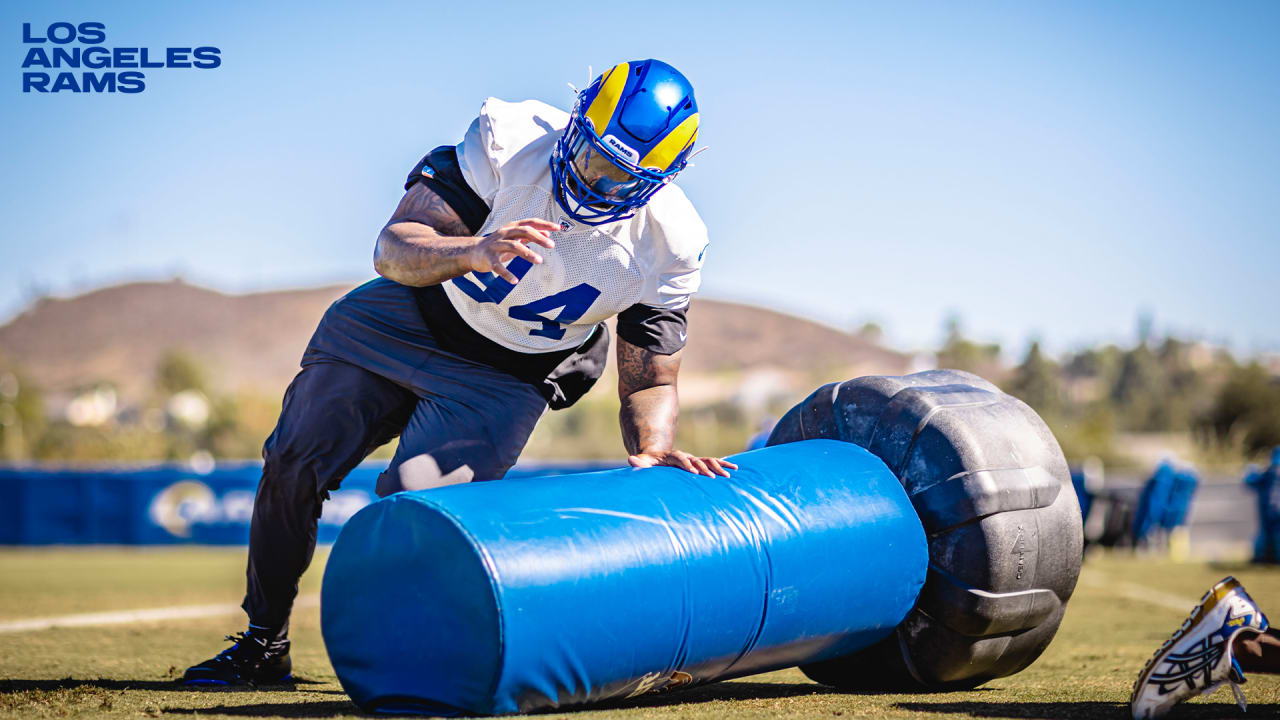 LA Rams can replace this DL A'Shawn Robinson in Round 3 of the draft