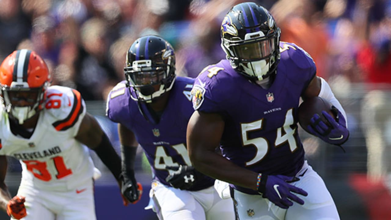 Tyus Bowser facing critical year for the Baltimore Ravens - Sports