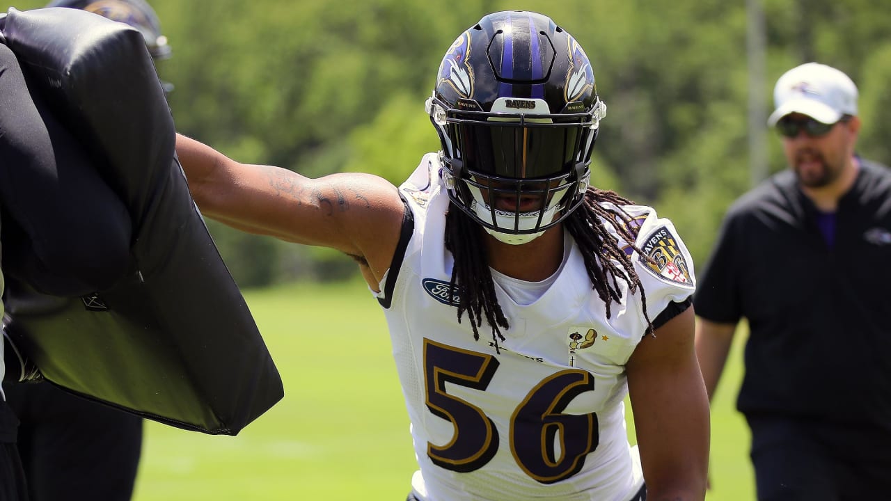 Top position battles in Ravens 2022 training camp: Interior Defensive Line  - Baltimore Beatdown