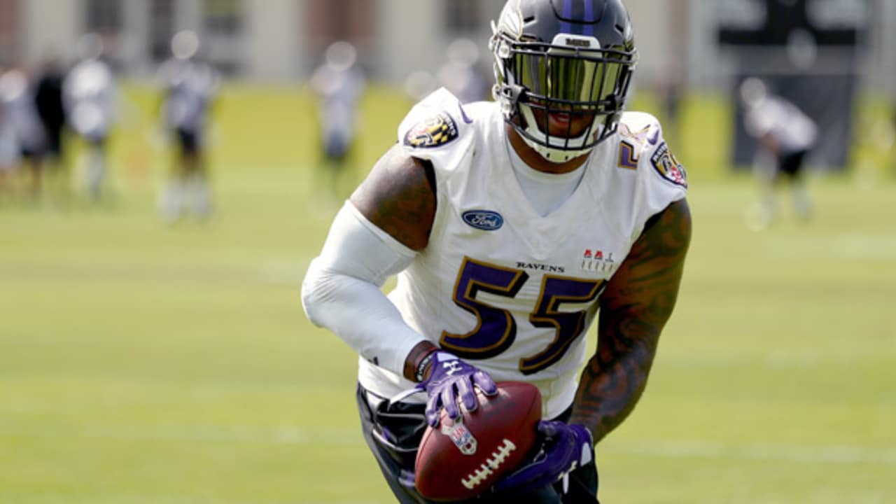 Ravens To Bring Terrell Suggs Back In 2017