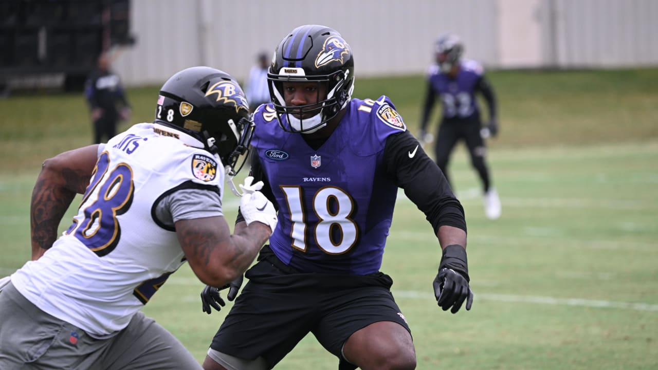 Previewing the Ravens vs. Steelers Week 14 showdown - Baltimore Beatdown