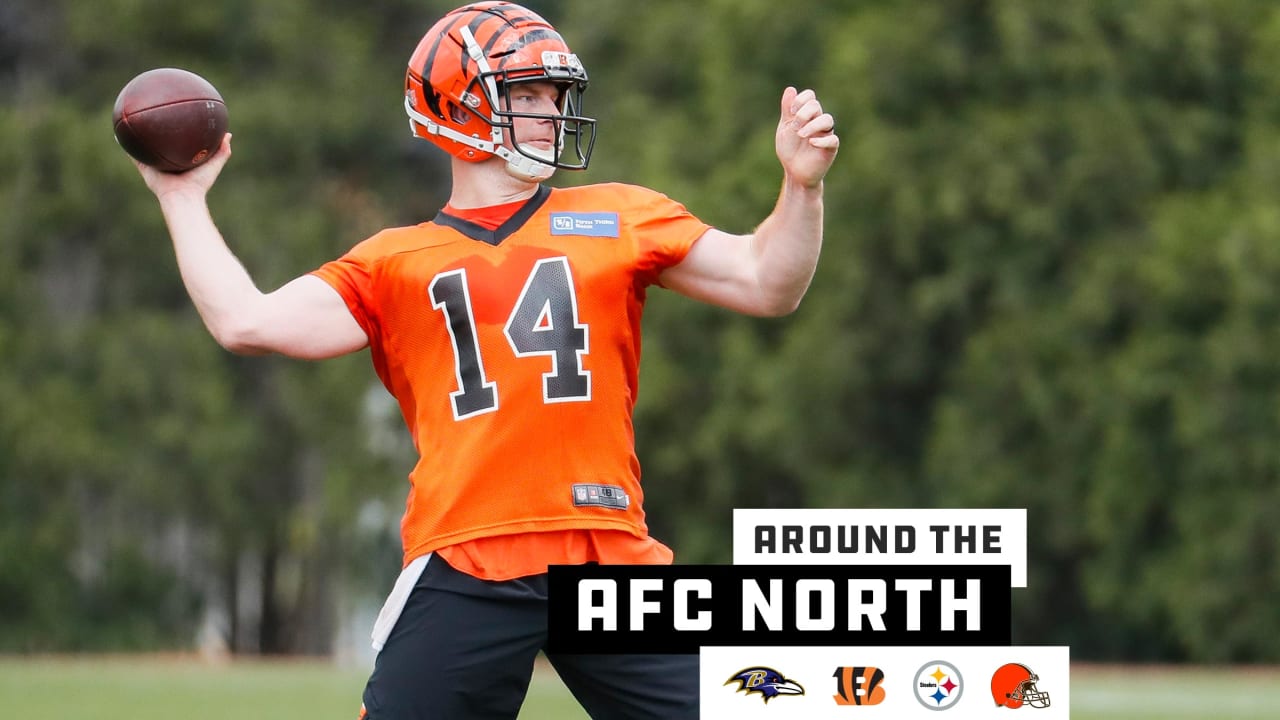 bengals afc north champions shirt