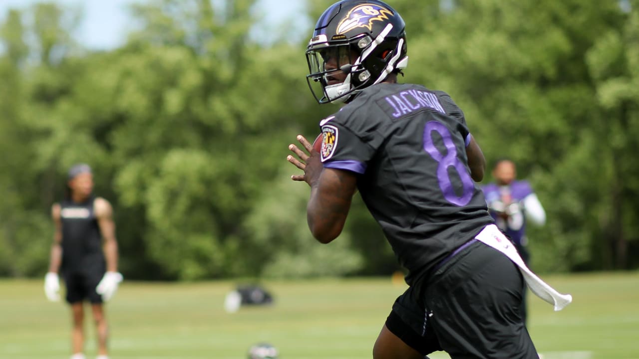 Ravens want Breshad Perriman to speed up learning curve - NBC Sports