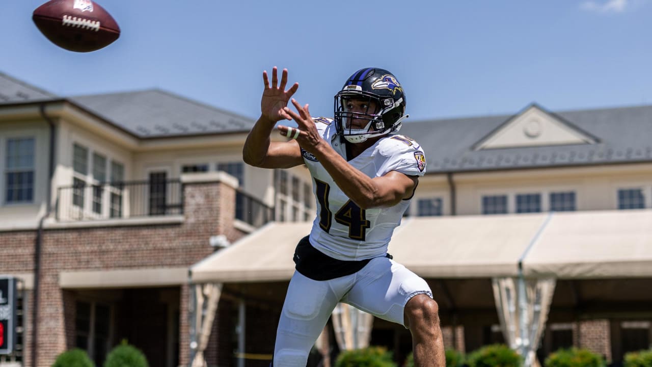 kyle hamilton in ravens jersey