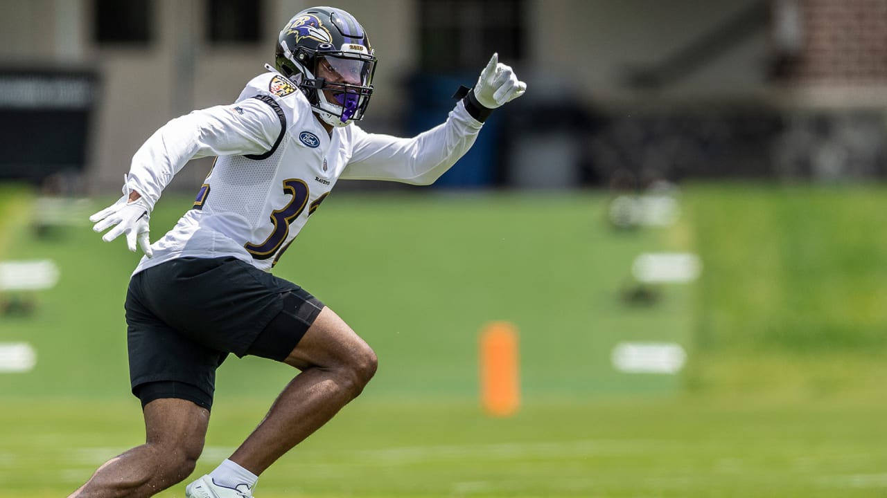 Which Ravens' players could be first-time Pro Bowlers this season? -  Baltimore Beatdown