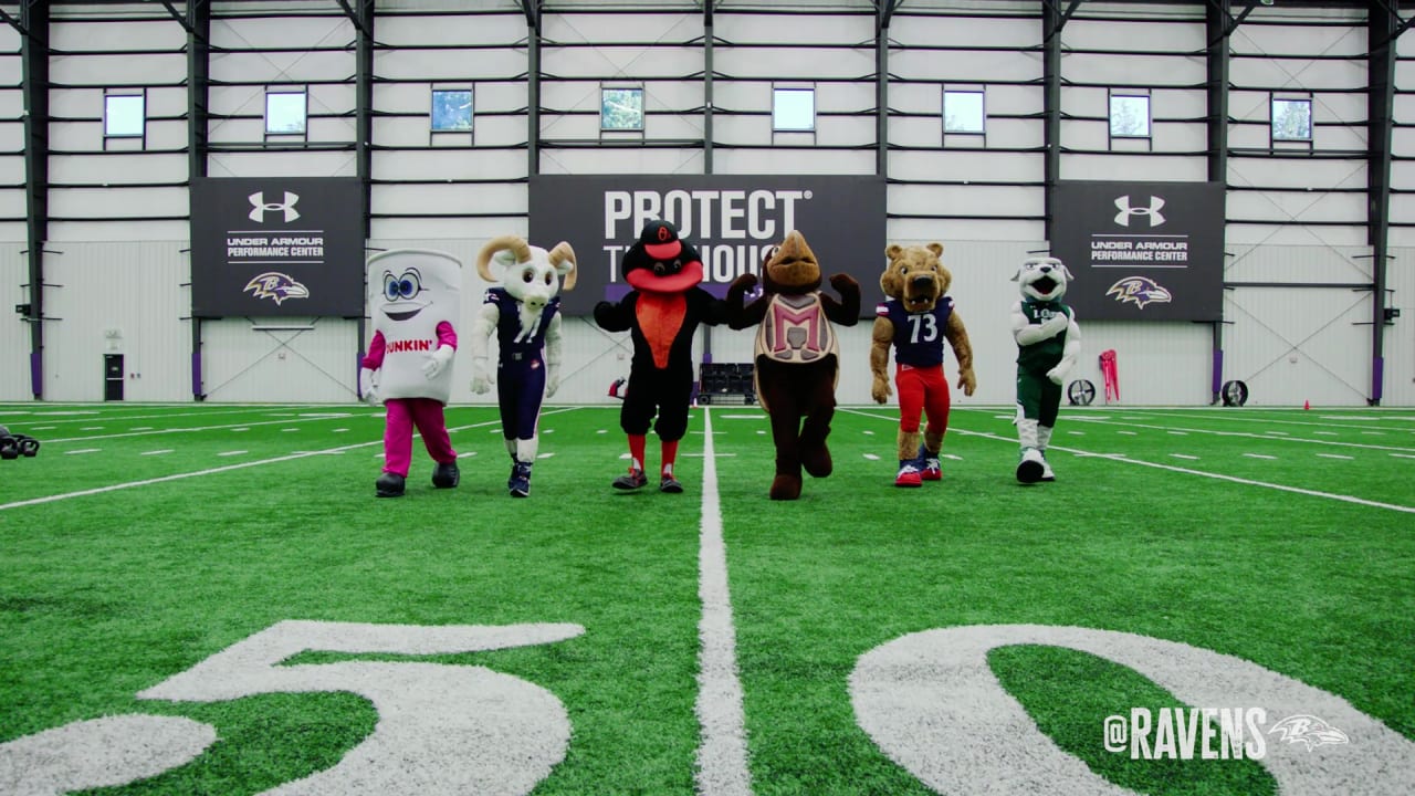 Ravens Mascot Poe Takes On The 'Dreams' TikTok Challenge With His Own Twist  - CBS Baltimore